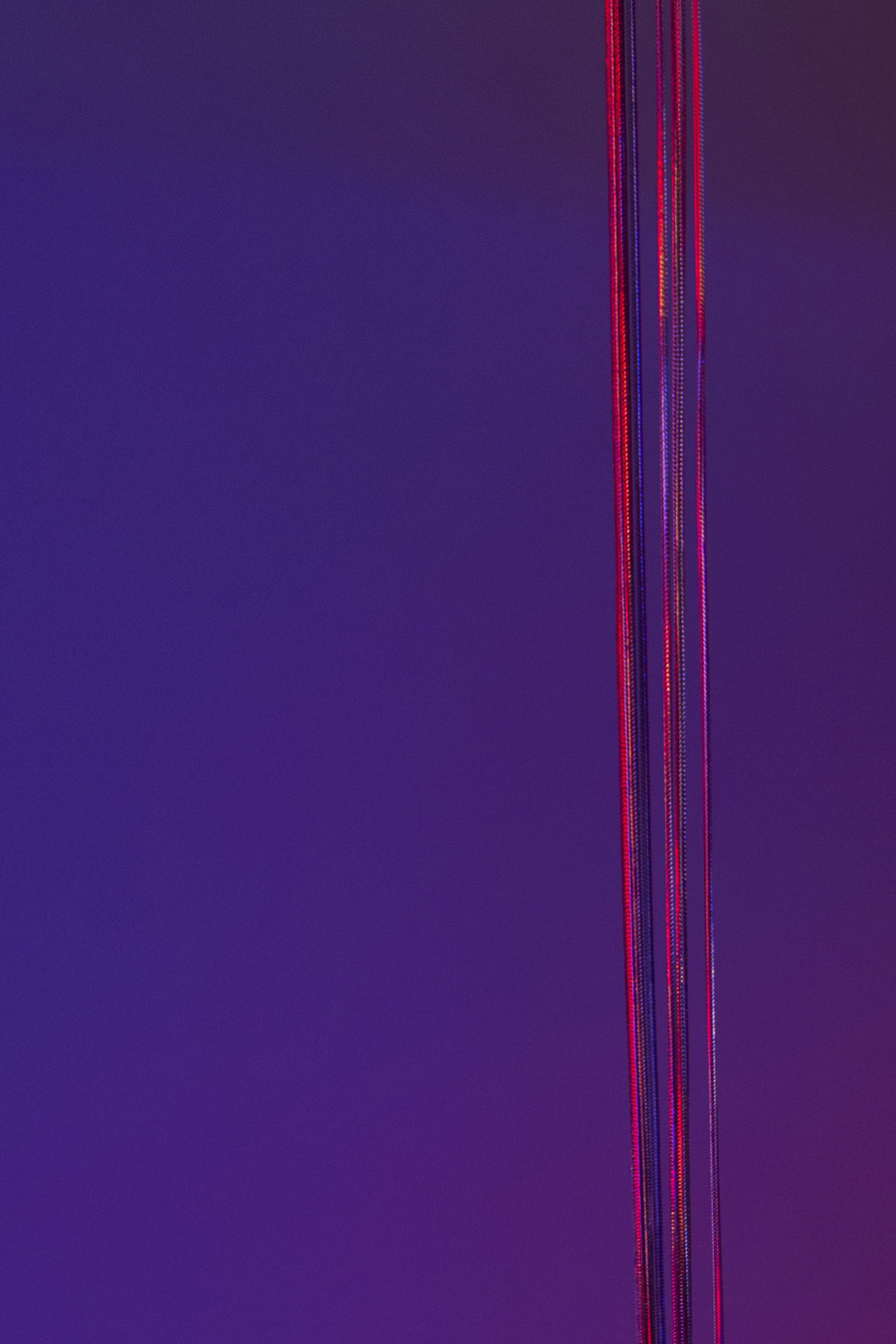 Diora-Madama_Bitter 40